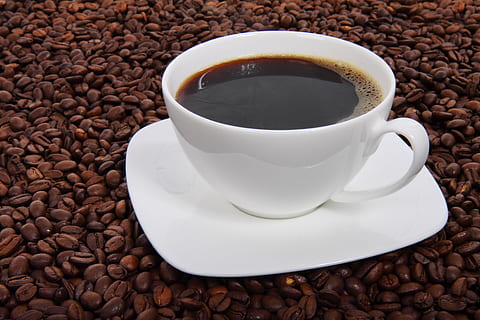marró, líquid, blanc, ceràmica, tassa, plat, tassa de café, fons, mongeta, mongetes, begudes, negre, cafeteria, cafeïna, cafè, concepte, fosc, beure, espresso, fresc, calenta, placa, refresc, tassa de cafè, cafè - beguda, gra de cafè torrat, menjar i beguda, vaixella, frescor, natura morta, menjar, Color blanc, cafè negre, primer pla, cap gent, beguda calenta, begudes sense alcohol, 4K, CC0, domini públic, lliure de regalies