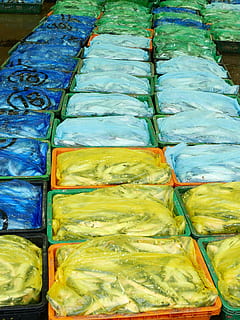fisk, plast, pakning, mad og drikke, høj vinkel visning, mad, i en række, detail, valg, ingen mennesker, marked, til salg, multi farvet, friskhed, beholder, variation, fuld ramme, sund kost, velvære, stor gruppe af objekter, indendørs, baggrunde, arrangement, pakke, 2K, CC0, offentligt domæne, royaltyfrie