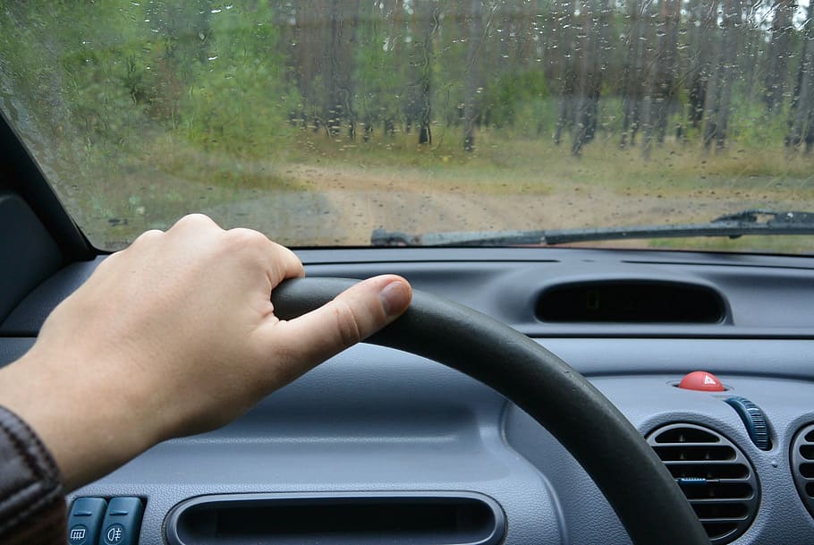 volante, foresta, strada, sentiero, auto, il motore, macchina, trasporto, strada forestale, alberi, natura, paesaggio, autunno, erba, paesaggio invernale, pino, sole, freddo, natura vivente, betulla, tronchi d'albero, mano umana, mezzi di trasporto, parte del corpo umano, guida, una persona, veicolo terrestre, parabrezza, cruscotto, veicolo a motore, modo di trasporto, mano, interno del veicolo, interno auto, vetro - materiale, pannello di controllo, viaggio, in casa, persone reali, dito, 4K