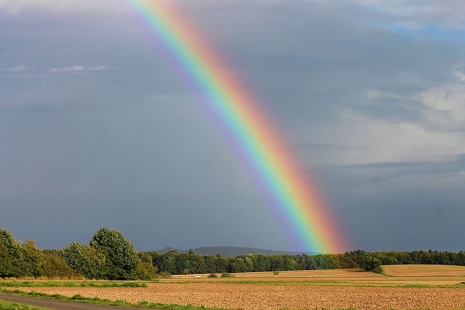 grøn, bladede, træer, regnbue, dag tid, himmel, felter, regnbue farver, aften sol, vejr, humør, stubbe, naturligt skuespil, brydning, naturligt fænomen, vejrfænomen, skyer, lys fænomen, atmosfære, lichtspiel, Farbenspiel, meteorologisk fænomen, spektrum, skønhed i naturen, multi farvet, scenics - natur, Mark, rolig scene, sky - himmel, miljø, plante, træ, ro, natur, landskab, jord, ingen mennesker, dobbelt regnbue, idyllisk, ikke-urbane scene, 4K
