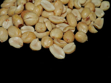 kacang kacangan, garam, camilan, menggigit, gila, core, makanan, benih, merapatkan, organik, Makanan vegetarian, latar belakang, makanan dan minuman, kesegaran, dalam ruangan, latar belakang hitam, tembakan studio, masih hidup, kesejahteraan, sekelompok besar objek, makan sehat, tidak ada orang, siap untuk dimakan, kacang, menyalin ruang, kelimpahan, sekelompok objek, kelompok, kesenangan, godaan, 4K, CC0, domain publik, bebas royalti