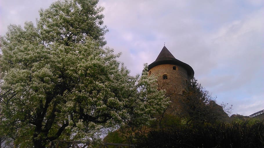 castello, pero, fioritura, albero, nessuno, nuvola - cielo, architettura, all'aperto, cielo, pianta, struttura costruita, costruzione, esterno dell'edificio, Inquadratura dal basso, natura, il passato, storia, luogo di culto, crescita, giorno, religione, vecchio, guglia, 2K
