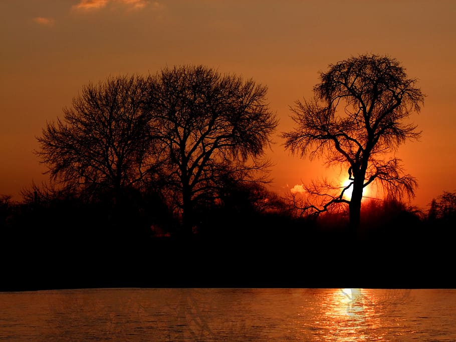 silhoutte, nua, arbres, posta de sol, romàntic, tarda, riu, düsseldorf, Rin, paisatge fluvial, paisatge, niederrhein, Alemanya, naturalesa, silueta, arbre, vespre, color taronja, retroil·luminat, sol, llum solar, aigua, planta, cel, escenics - natura, tranquil·litat, bellesa a la natura, escena tranquil·la, cap gent, llac, reflexió, arbre nu, a l'aire lliure, idíl·lic, 4K