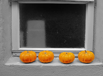 pumpor, trimma, fönster, pumpa, mat, mat och dryck, orange färg, halloween, vegetabiliska, inget folk, firande, friskhet, semester - händelse, äta nyttigt, väggbyggande funktion, inomhus, fortfarande liv, välbefinnande, arkitektur, dekoration, sida vid sida, 1080P, CC0, offentligt domän, royaltyfria
