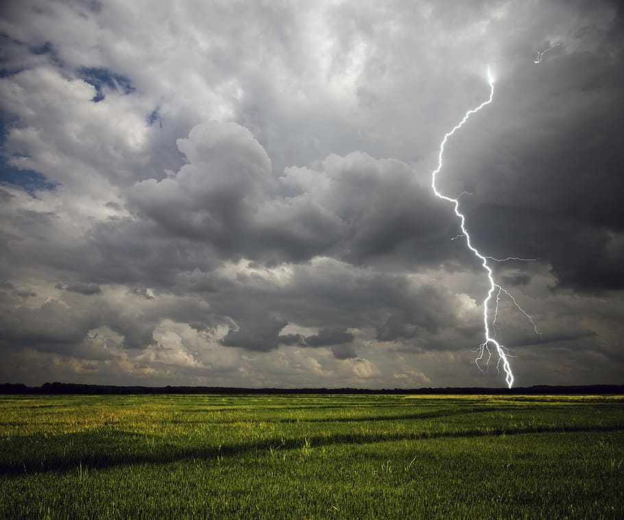 llamps, verd, camp, ennuvolat, cel, durant el dia, colpejar, pern, electricitat, energia, tempesta, núvols, flaix, clima, temps, cridaner, dramàtica, metàfora, usda, llum, poder, potent, perillós, perill, paisatge, núvol - cel, poder a la natura, bellesa a la natura, medi ambient, terra, escenics - natura, naturalesa, núvol de tempesta, cel dramàtic, llamps bifurcats, escena rural, signe, cap gent, clima extrem, a l'aire lliure, tornado, ominós, 2K