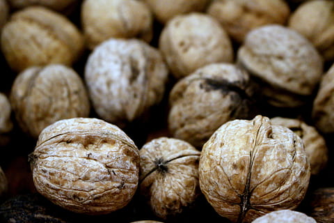 nut, nutshell, walnut, nuts, walnuts, food, food and drink, healthy eating, freshness, wellbeing, large group of objects, close-up, still life, no people, focus on foreground, full frame, abundance, indoors, backgrounds, nut - food, brown, vegetable, raw food, 5K, CC0, public domain, royalty free
