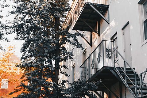 svart, metalltrappa, tillbaka, hus, träd, bredvid, byggnad, dagtid, Foto, fönster, dörr, soluppgång, arkitektur, byggnad exteriör, byggd struktur, växt, natur, dag, inget folk, lågvinkelvy, utomhus, stad, bostadsområde, höst, Byta, tillväxt, gren, himmel, gata, lägenhet, 4K, CC0, offentligt domän, royaltyfria