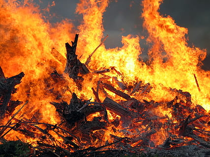 fire, flame, easter fire, burning, heat - temperature, fire - natural phenomenon, orange color, nature, glowing, tree, wood, bonfire, wood - material, no people, sign, log, motion, environmental issues, environmental damage, firewood, land, outdoors, campfire, pollution, 1080P, CC0, public domain, royalty free