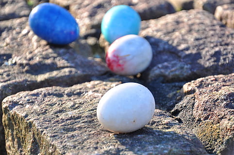 ou, ou de marbre, ous de colors, ou de Pasqua, Pasqua, símbol, festa, tradicional, catòlic, sòlid, primer pla, naturalesa, rock, dia, cap gent, textura, rock - object, terra, enfocament selectiu, llum solar, a l'aire lliure, pedra - objecte, vista d’angle alt, platja, centrar-se en primer pla, fauna animal, shell, natura morta, blau, còdols, 2K, CC0, domini públic, lliure de regalies