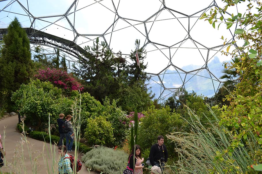 eden, project, Cornwall, medi ambient, eden, projecte, ecologia, Anglaterra, conservació, hivernacle, cúpula, plantes, UK, ambiental, arquitectura, verd, bioma, ecosistema, esfera, hexàgon, jardí, atracció, naturalesa, confiança, turista, horticultura, flors, estructura, tropical, st, Austell, eco, ecològic, arquitectònic, biodome, botànic, arbre, dia, planta, gent, a l'aire lliure, creixement, cel, planta amb flors, persones reals, homes, flor, color verd, grup de persones, adult, dones, bellesa a la natura, activitat d'oci, tanca, 4K