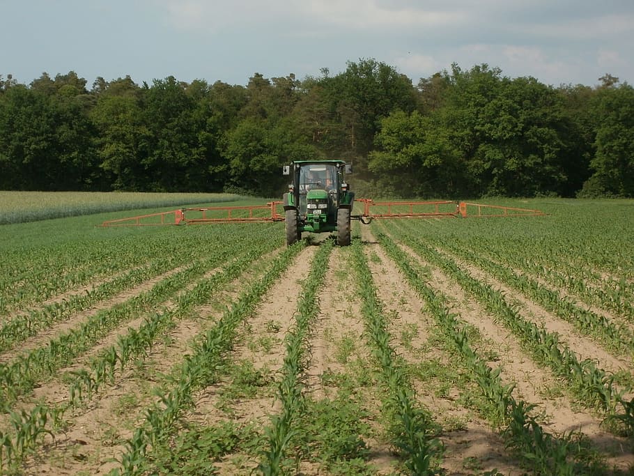 overskyet, blå, Skyt, majs, majs, felt, traktor, landbrug, Mark, maskineri, udstyr, landdistrikterne, dyrkning, plantage, afgrøde, landlige scene, gård, grøntsag, plante, vækst, jord, træ, land køretøj, grøn farve, landskab, natur, transportform, himmel, transportmidler, dag, miljø, skønhed i naturen, scenics - natur, ingen mennesker, udendørs, 1080P
