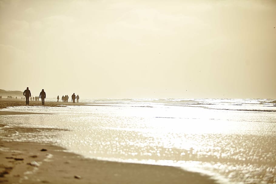 platja, condició, sylt, sonne, gent, terra, mar, aigua, cel, sorra, onada, naturalesa, bellesa a la natura, caminar, activitat d'oci, homes, llum solar, dones, escenics - natura, persones reals, a l'aire lliure, sol, horitzó sobre l’aigua, parella - relació, 5K