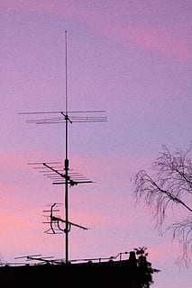 Antenne, Baum, Wolke, Himmel, Silhouette, Feuer, Abendlicht, Flachwinkelansicht, Kommunikation, Natur, Sonnenuntergang, keine Leute, Fernsehantenne, Antenne - Antenne, die Architektur, Technologie, lila, Verbindung, draußen, gebaute Struktur, Gebäude, pinke Farbe, Telekommunikationsausrüstung, 4K, CC0, gemeinfrei, lizenzfrei
