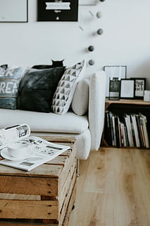 blanco y negro, decoración del hogar, contemporáneo, casa blanca, interior, sofá, revistas, moderno, mesa, gato, almohadas, librero, elegante, adentro, cuarto doméstico, mueble, interior de la casa, cómodo, sala, decoración, nadie, apartamento, almohada, libro, casa, estante, ordenado, silla, publicación, piso, asiento, naturaleza muerta, negocio, centrarse en primer plano, madera, piso de madera, textil, oficina, orden, estante para libros, 4K, CC0, dominio público, libre de derechos