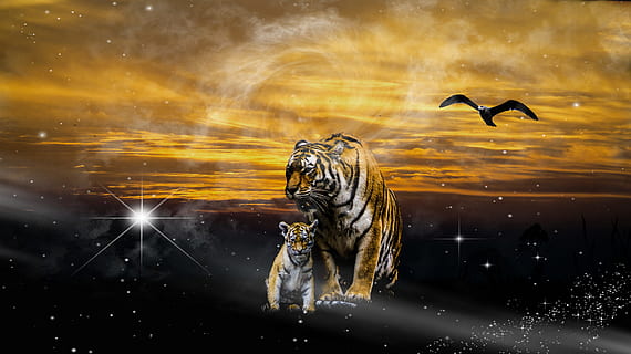to tigre, grafik, computer, tiger, ung, fugle, solnedgang, silhuetter, dyr, dyre temaer, dyreliv, dyr i naturen, hvirveldyr, fugl, gruppe af dyr, flyvende, ingen mennesker, natur, to dyr, himmel, bevægelse, rovfugl, sky - himmel, udendørs, vand, digital komposit, aggression, 5K, CC0, offentligt domæne, royaltyfrie