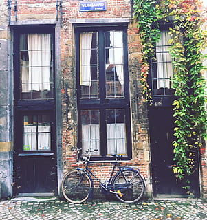 city ​​bike nera, città nera, bici da città, bicicletta, strada, scena urbana, amsterdam, architettura, finestra, città, Europa, all'aperto, vecchio, esterno dell'edificio, vita di città, Olanda, vecchio stile, Casa, facciata, porta, struttura costruita, costruzione, mezzi di trasporto, giorno, nessuno, veicolo terrestre, modo di trasporto, quartiere residenziale, Entrata, stazionario, pianta, parete, 2K, CC0, dominio pubblico, privo di copyright