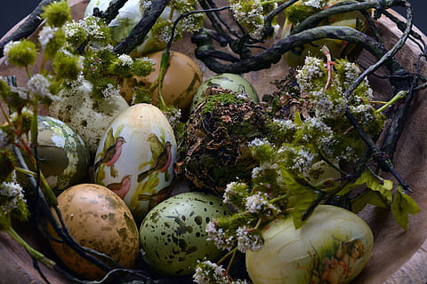 Assortiment d'elements de colors per a ous de Pasqua, ous de Pasqua, niu de Pasqua, Pasqua, primavera, decoració, discret, to de to, ou, color, decoracions de pasqua, personalitzat, de colors, decoració de pasqua, Feliç Pasqua, ous de colors, ou de Pasqua, osterkorb, salutacions de pasqua, celebració de Pasqua, menjar i beguda, menjar, alimentació saludable, frescor, benestar, vegetals, natura morta, cap gent, planta, primer pla, dia, vista d’angle alt, marc complet, enfocament selectiu, naturalesa, creixement, orgànic, color verd, a l'aire lliure, aliments crus, 4K, CC0, domini públic, lliure de regalies