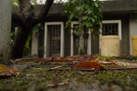 Herbst, fallendes Blatt, die Architektur, gebaute Struktur, Gebäudehülle, Tag, Natur, Gebäude, keine Leute, Pflanze, selektiver Fokus, draußen, Haus, Baum, Pflanzenteil, Blatt, Lebensmittel, Wohngegend, Holz - Material, Essen und Trinken, Vorder- oder Hinterhof, Oberflächenniveau, Blätter, 4K, CC0, gemeinfrei, lizenzfrei