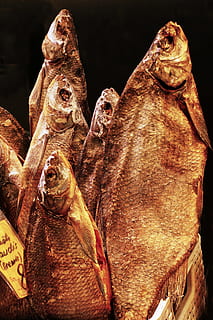 peix, bacallà, sec, peix dörr, peix sec, menjar, estand de vendes, estats bàltics, riga, mercat, estònia, fotografia alimentària, cap gent, primer pla, animal, representació, art i artesania, vista d’angle baix, dia, vertebrats, escultura, naturalesa, menjar i beguda, història, temes d'animals, artesania, a l'interior, frescor, representació animal, a la venda, text, 5K, CC0, domini públic, lliure de regalies