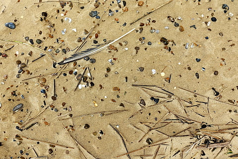 Sand, Strand, Muster, Textur, Kieselstein, Feder, Treibgut, Küste, Ufer, Küstenlinie, Strandgut, Land, High Angle View, Tag, keine Leute, Natur, Sonnenlicht, Vollbild, Hintergründe, draußen, große Gruppe von Tieren, Ruhe, Tier, Wüste, Schmutz, Feld, Tierthemen, Schönheit in der Natur, Luftaufnahme, trockenes Klima, 5K, CC0, gemeinfrei, lizenzfrei