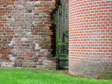 Ściana, klasztor, mur klasztorny, kloostertuin, średniowieczny, ceglana ściana, cegła, na zewnątrz budynku, na dworze, zbudowana struktura, architektura, roślina, trawa, dzień, funkcja budowy ścian, żadnych ludzi, budynek, Natura, wejście, drzwi, zielony kolor, dom, pole, wzrost, 2K, CC0, domena publiczna, darmowe zdjęcia