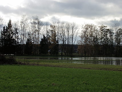 allagamento, segnalati, acqua, nuvole, fiume, albero, pianta, erba, nuvola - cielo, cielo, natura, nessuno, albero nudo, la tranquillità, terra, scena tranquilla, paesaggio, campo, bellezza nella natura, scenics - natura, ambiente, giorno, colore verde, crescita, all'aperto, 2K, CC0, dominio pubblico, privo di copyright