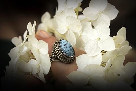 de color platejat, blau, anell de cabochon, flors, anell, mà, casament, bouquet, celebració, joieria, dona, decoració, floral, dia, blanc, flor, planta amb flors, planta, bellesa a la natura, fragilitat, pètal, vulnerabilitat, primer pla, cap de flor, inflorescència, creixement, naturalesa, frescor, fauna animal, temes d'animals, animal, Color blanc, cap gent, animals a la natura, a l'aire lliure, pol·len, primavera, fons negre, 2K, CC0, domini públic, lliure de regalies