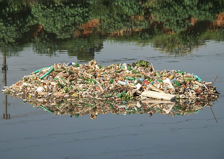 Lixo, pinheiros do rio, destroços, Pedregulho, poluição, garrafa pet, esgoto, são paulo, agua, ninguém, natureza, reflexão, dia, lago, problemas ambientais, ao ar livre, visão de alto ângulo, grande grupo de objetos, meio Ambiente, beira-mar, plantar, poluição da água, árvore, transporte, 4K, CC0, domínio público, royalty free
