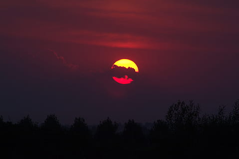sunset, sun, sky, cloud, evening, beauty in nature, scenics - nature, nature, silhouette, plant, tree, tranquility, cloud - sky, tranquil scene, no people, night, space, outdoors, dramatic sky, pink color, moon, red, astronomy, romantic sky, 5K, CC0, public domain, royalty free