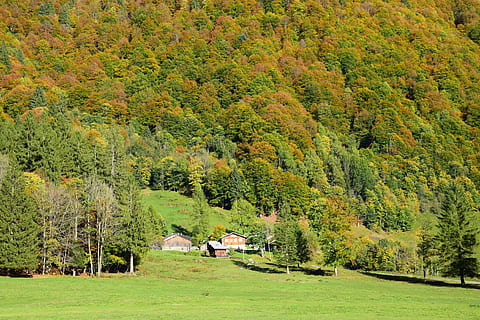chalet, montaña, otoño, bosque, prado, Alta Saboya, árbol, planta, color verde, belleza en la naturaleza, arquitectura, tierra, crecimiento, paisajes - naturaleza, estructura construida, tranquilidad, paisaje, naturaleza, día, casa, escena tranquila, campo, edificio, nadie, ambiente, cambio, al aire libre, cabaña, 4K, CC0, dominio público, libre de derechos