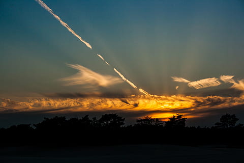 solnedgang, skyer, sol, aften, himmel, træer, natur, soester klitter, skumring, sky - himmel, skønhed i naturen, scenics - natur, rolig scene, ro, miljø, dampspor, ingen mennesker, landskab, silhuet, træ, plante, orange farve, ikke-urbane scene, udendørs, idyllisk, dramatisk himmel, 4K, CC0, offentligt domæne, royaltyfrie