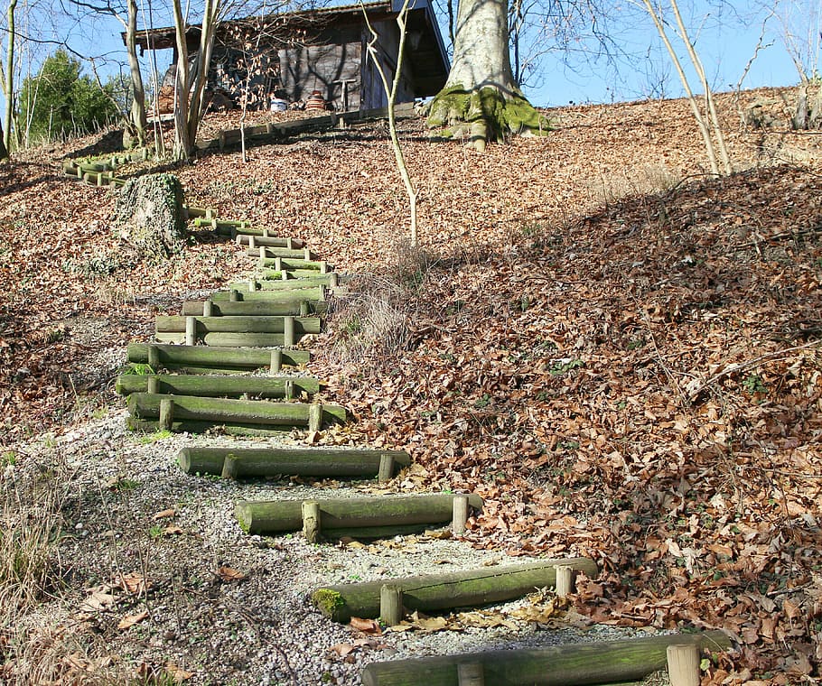 Natur, Weg, allmählich, Entstehung, Holzleitern, Tag, Pflanze, keine Leute, Baum, Treppe, Land, gebaute Struktur, die Architektur, Sonnenlicht, Stufen und Treppen, Wachstum, Feld, draußen, Sitz, Ruhe, in einer Reihe, Richtung, der Weg nach vorn, High Angle View, ruiniert, 4K
