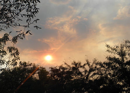 árbol, nubes, Dom, cielo, naturaleza, verano, bosque, verde, azul, natural, planta, vistoso, ver, rural, hoja, color, puesta de sol, temporada, nube - cielo, belleza en la naturaleza, silueta, tranquilidad, destello de lente, luz del sol, paisajes - naturaleza, escena tranquila, rayo de sol, nadie, vista de ángulo bajo, color naranja, crecimiento, idílico, al aire libre, brillante, erupción solar, transmisión, brillantemente iluminado, 1080P, CC0, dominio público, libre de derechos