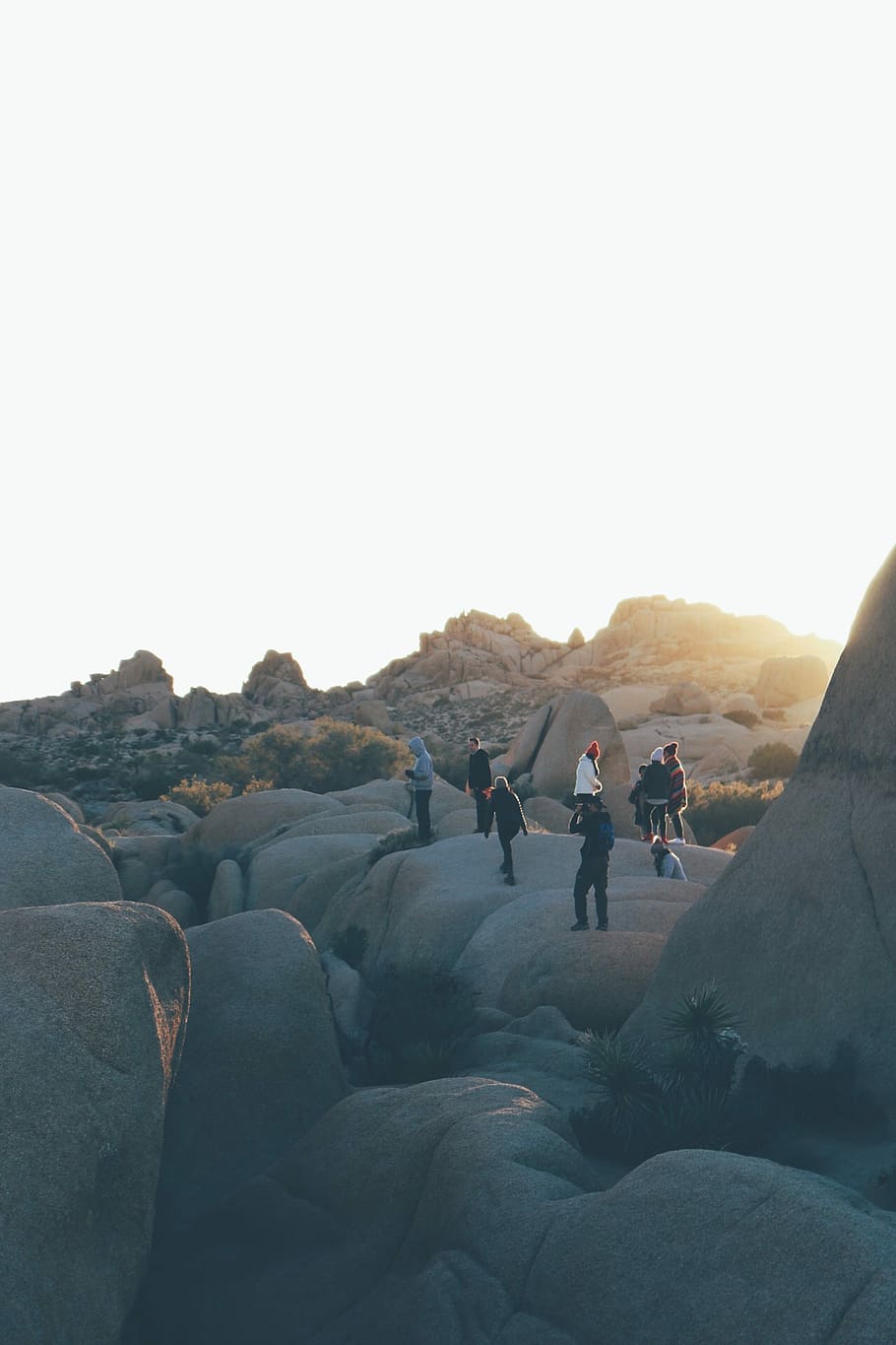 mennesker, stående, klippeformationer, dagtimerne, fotografering, gå, top, kampesten, gruppe, fællesskab, udforske, joshua tree, stenet top, klatre, eventyr, klippe, person, natur, solnedgang, falme, udsigt, orange, farve, lys, klipper, eventyrer, udforske mere, himmel, gruppe af mennesker, rigtige mennesker, kopiere plads, solid, rock-objekt, skyfri himmel, fritidsaktivitet, herrer, livsstil, skønhed i naturen, miljø, scenics - natur, Kvinder, landskab, aktivitet, dag, udendørs, 8K