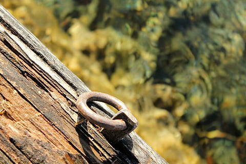 ancora, allegare, fissaggio, anello di ferro, concentrarsi sulle conoscenze acquisite, metallo, arrugginito, nessuno, legno - materiale, giorno, avvicinamento, natura, strutturato, all'aperto, luce del sole, sicurezza, solido, squillare, natura morta, albero, protezione, forza, pianta, ferro - metallo, 5K, CC0, dominio pubblico, privo di copyright