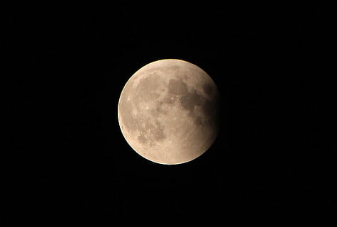 astro, tanaman, gerhana, Juni, bulan, malam, langit, zoom, alam, ruang, astronomi, bulan purnama, bulan planet, bentuk geometris, lingkaran, keindahan di alam, bentuk, permukaan bulan, menyalin ruang, tidak ada orang, ketenangan, megah, scenics - alam, ilmu, tampilan sudut rendah, di luar rumah, ruang dan astronomi, perbintangan, gelap, sinar bulan, 720P, CC0, domain publik, bebas royalti