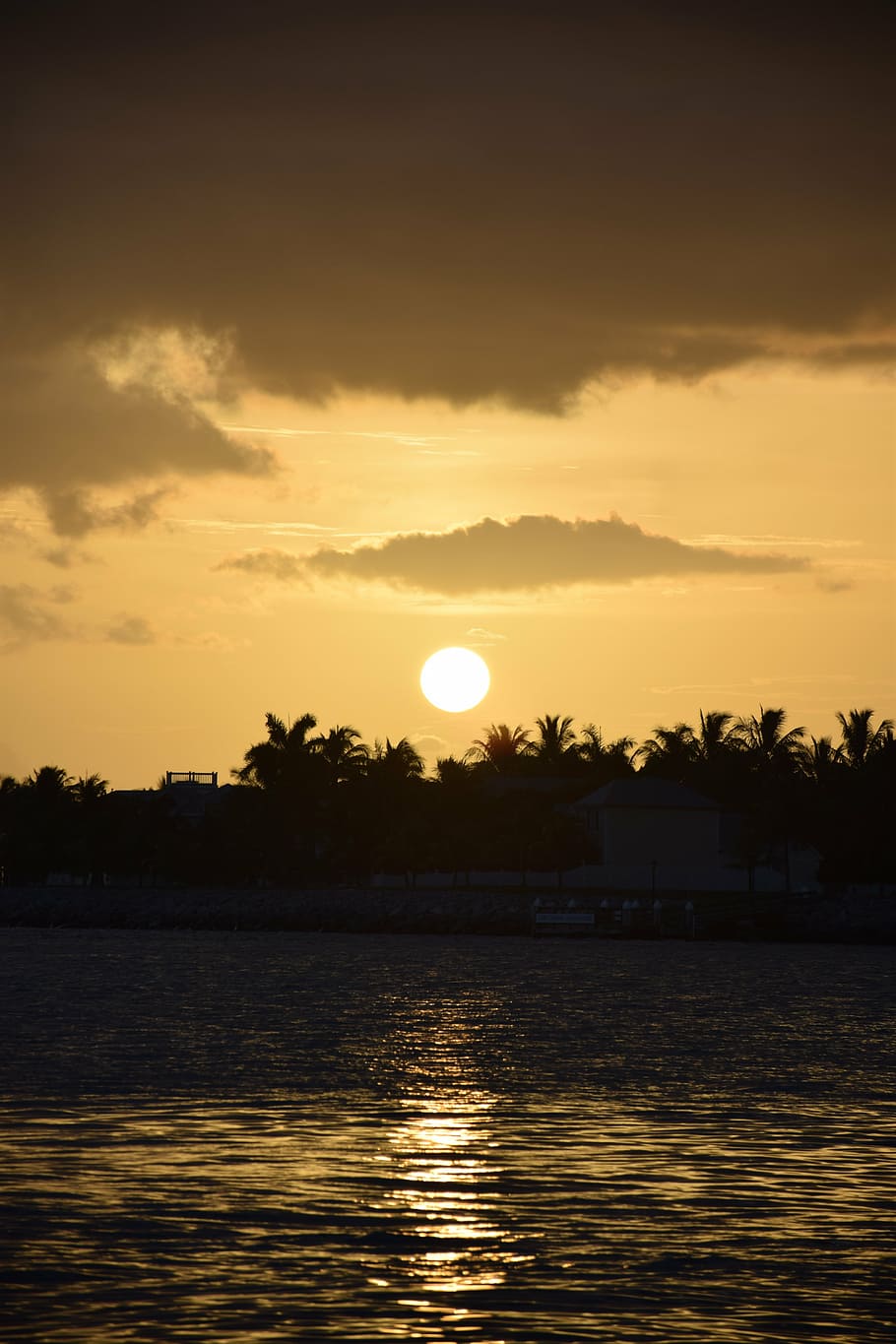 sol, strand, solnedgang, landskab, vand, natur, gennemse, Litoral, himmel, horisont, scenarie, Eventide, om, helligdage, eftermiddag, skønhed i naturen, scenics - natur, orange farve, havnefronten, sky - himmel, ro, rolig scene, silhuet, træ, idyllisk, afspejling, plante, ingen mennesker, sø, udendørs, fuldmåne, 5K