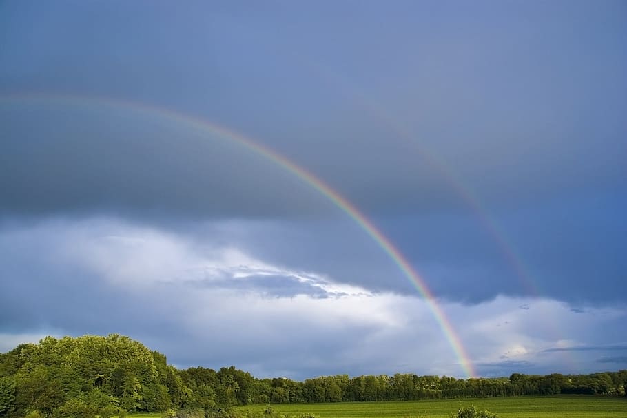 arcobaleno, nuvole, natura, paesaggio, cielo, fenomeno meteorologico, bellezza nella natura, Paesaggi, campo, doppio arcobaleno, nuvola - cielo, scenics - natura, albero, pianta, scena tranquilla, la tranquillità, ambiente, idilliaco, colore verde, scena non urbana, nessuno, multicolore, terra, all'aperto, pioggia, 1080P