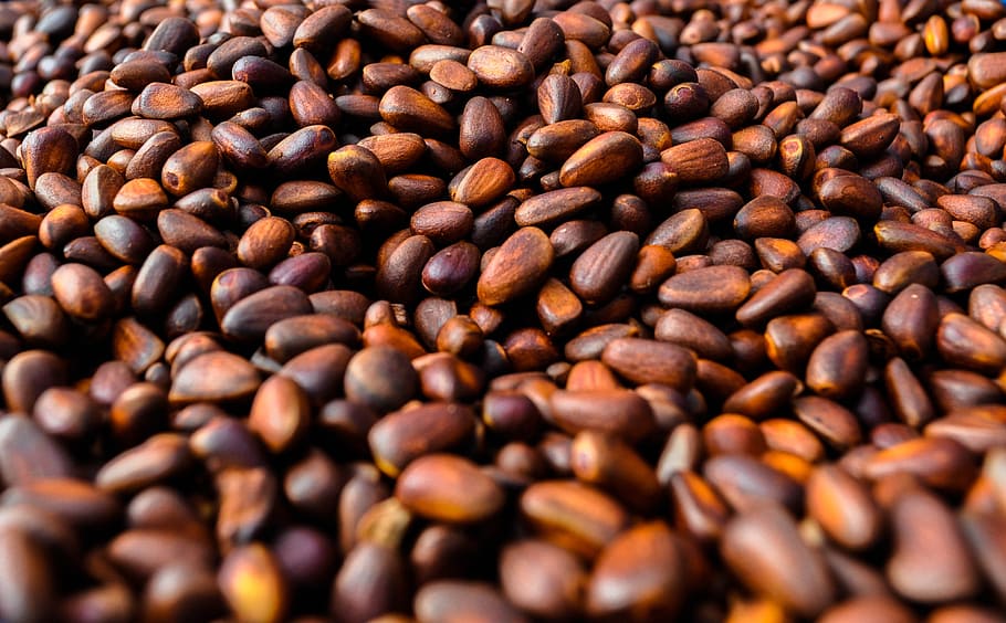 lot de gra de cafè, pinyons, pinyes, con, naturalesa, natural, llavor, nou, arbre, menjar, crua, shell, comestible, marró, berenar, mongolia, nutrició, cuina, fons, menjar i beguda, cafè, cafè - beguda, gra de cafè torrat, gran grup d'objectes, frescor, abundància, marc complet, cap gent, primer pla, beure, a l'interior, torrat, cafeïna, natura morta, Munt, refresc, efecte texturat, 2K