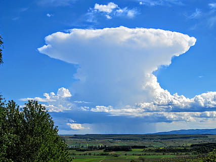 Thunderstorm, Cloud, Weather, storm, sky, rain, before the storm, the gathering storm, thunderstorm cloud, cloud - sky, blue, nature, scenics, landscape, environment, plant, tree, scenics - nature, beauty in nature, day, green color, no people, horizon over land, horizon, land, non-urban scene, grass, outdoors, tranquil scene, semi-arid, 4K, CC0, public domain, royalty free
