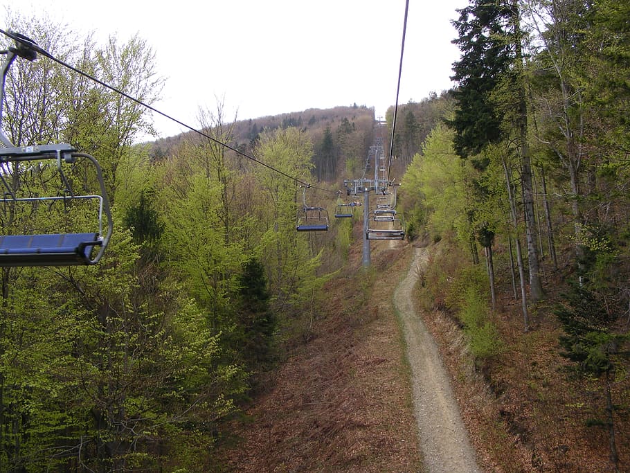 funivia, montagne, albero, pianta, mezzi di trasporto, strada, cielo, natura, giorno, crescita, terra, nessuno, direzione, modo di trasporto, la strada davanti, colore verde, trasporto ferroviario, scena tranquilla, paesaggio, strada sterrata, trasporto pubblico, scena non urbana, all'aperto, traccia, elettricità, 2K