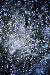 afspejling, bokeh, cirkel, rund, lys, dobbelt eksponering, vand, ingen mennesker, natur, fuld ramme, dag, våd, baggrunde, dråbe, udendørs, skønhed i naturen, tæt på, vindue, vinter, kold temperatur, selektiv fokusering, regn, gennemsigtig, træ, renhed, regndråbe, sner, 5K, CC0, offentligt domæne, royaltyfrie