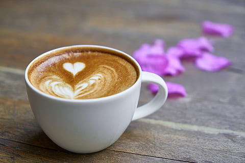 mad, træ, daggry, koffein, baggrund, drik, sløring, pause, morgenmad, Brun, cafe, cappuccino, tæt på, kaffe, kaffekop, kaffedrik, fløde, kop, kop kaffe, lækker, drikke, espresso, blomster, skum, fokus, frisk, hed, latte, makro, mokka, krus, lilla, bord, mad og drikke, forfriskning, kaffe - drikke, blomst, varm drikke, blomstrende plante, skummende drikke, stilleben, friskhed, plante, ingen mennesker, porcelæn, 5K, CC0, offentligt domæne, royaltyfrie