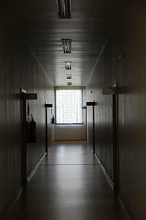 sál, temný, okno, dveře, bílé okno, Domov, uvnitř, nikdo, koridor, prázdný, architektura, podlaha, stavba, budova, směr, svítí, cesta vpřed, osvětlovací zařízení, strop, pasáž, vchod, nástěnný prvek, absence, perspektiva, podepsat, světlo, kachličková podlaha, podzemní chodník, 5K