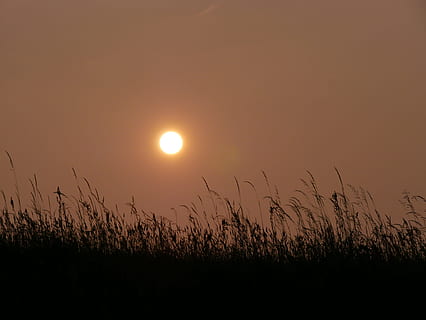 Sonne, Sonnenuntergang, Himmel, abendstimmung, untergehende Sonne, Abendhimmel, Natur, Nachglühen, Dämmerung, Orange, Himmelsfarben, Getreidepflanze, Landwirtschaft, Feld, Ernte, ländliche Szene, Schönheit in der Natur, Szenen - Natur, Pflanze, Ruhe, ruhige Szene, Wachstum, keine Leute, Land, Mond, Silhouette, idyllisch, Nicht-städtische Szene, orange Farbe, draußen, Umgebung, Vollmond, Lieschgras, Mondlicht, 4K, CC0, gemeinfrei, lizenzfrei