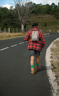 Walker, excursionist, rucsac, vedere din spate, drum, transport, oameni adevărați, o persoana, lungime totală, plantă, bărbați, copac, zi, mers, stiluri de viață, ocupaţie, îmbrăcăminte, natură, calea de urmat, haine casual, direcţie, 4K, CC0, domeniu public, fără drepturi de autor