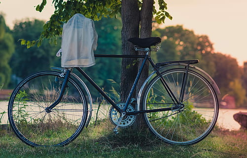 negre, bicicleta de la ciutat, inclinat, tronc de l'arbre, posta de sol, ciutat negra, bicicleta, a l'aire lliure, ciclisme, naturalesa, estiu, cicle, herba, estils de vida, estil retro, passat de moda, estil de vida saludable, transport, arbre, dia, roda, planta, vehicle terrestre, manera de transport, estacionari, cap gent, camp, centrar-se en primer pla, color verd, creixement, llum solar, terra, parc, 5K, CC0, domini públic, lliure de regalies