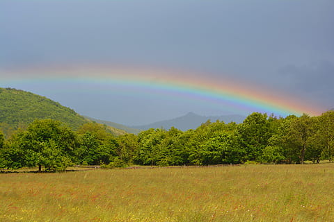 arco Iris, multicolorido, sol, pradaria, chuva, Dom, pradaria, panorama, scenics, natureza, campo, árvore, beleza na natureza, plantar, tranquilidade, cena tranquila, scenics - natureza, meio Ambiente, multi colorido, terra, céu, cena não urbana, idílico, montanha, cor verde, ninguém, duplo arco-íris, ao ar livre, 5K, CC0, domínio público, royalty free