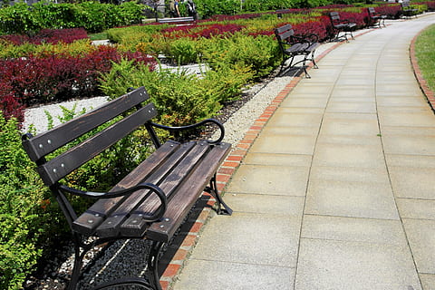 giardino, piazza, panchina, sentiero, giardino, piazza, il sentiero, parco, di fila, marciapiede, grande gruppo di oggetti, all'aperto, nessuno, natura, pianta, vuoto, la strada davanti, posto a sedere, assenza, direzione, crescita, parco - spazio creato dall'uomo, giorno, vista dall'alto, panchina del parco, albero, erba, prospettiva decrescente, pavimentazione in pietra, percorso del giardino, 5K, CC0, dominio pubblico, privo di copyright