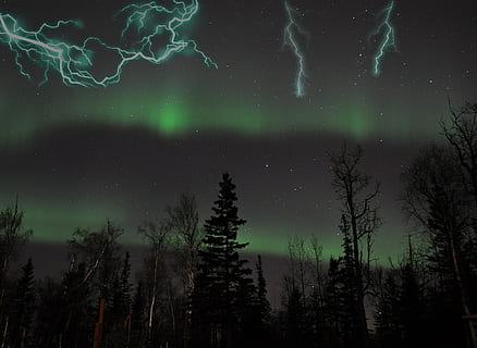 lyn, træer, Skov, nat, vejr, landskab, tordenvejr, træ, plads, plante, stjerne - rum, astronomi, himmel, skønhed i naturen, scenics - natur, natur, belyst, ro, ingen mennesker, grøn farve, lav vinkel visning, mysterium, silhuet, rolig scene, jord, aurora polaris, rum og astronomi, astrologi, magt i naturen, fyrreskov, 1080P, CC0, offentligt domæne, royaltyfrie